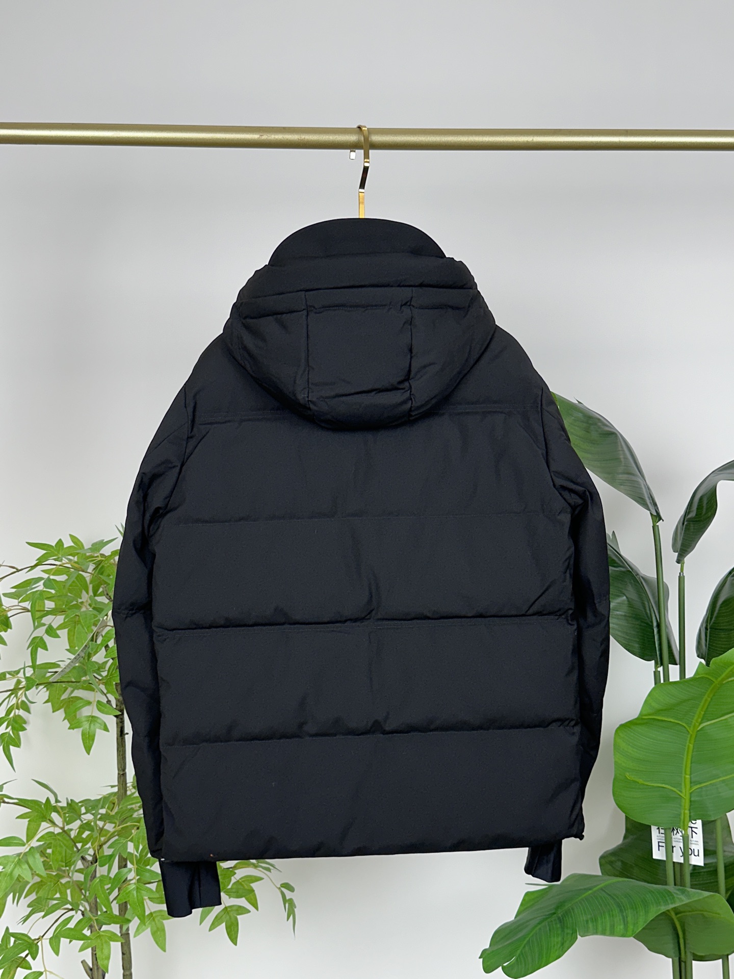 Zegna Down Jackets